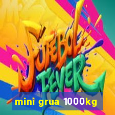 mini grua 1000kg